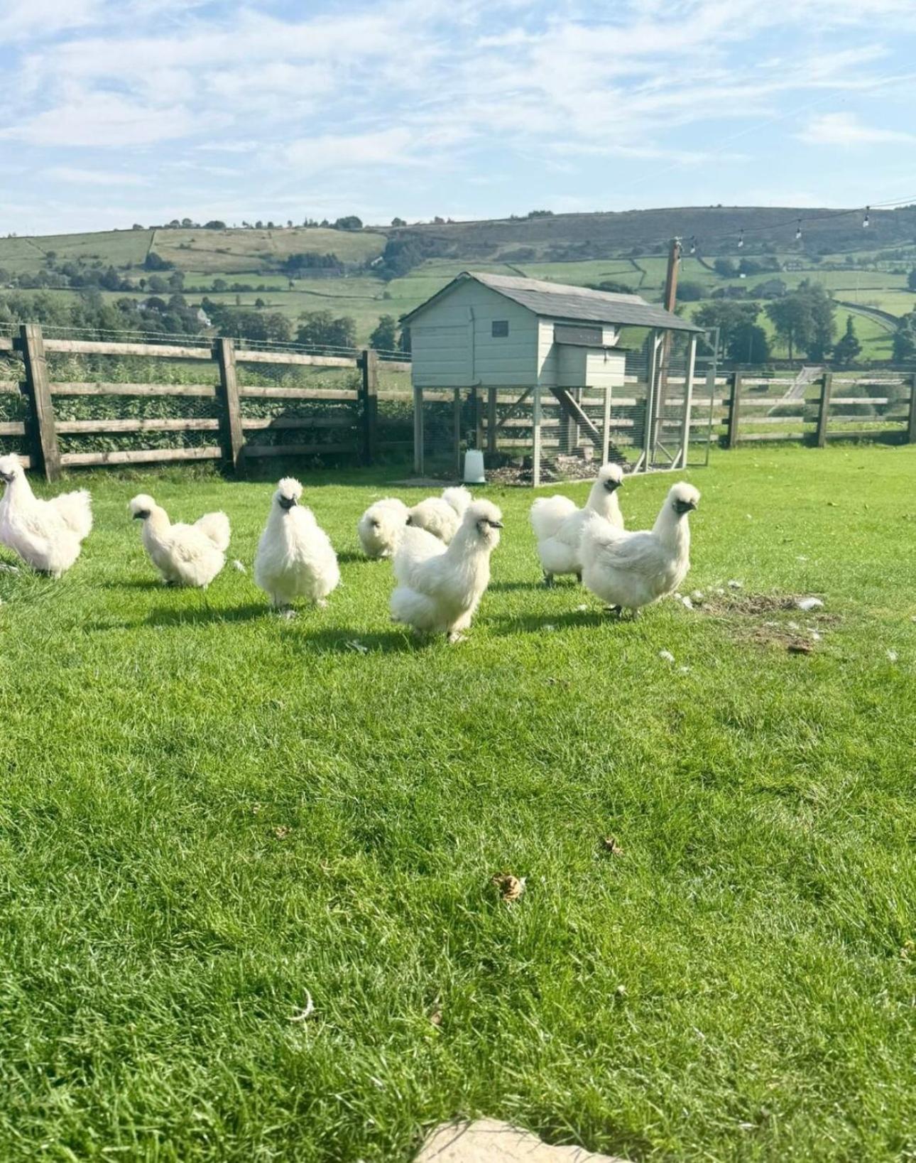 Bents Holiday Cottage Oxenhope 외부 사진