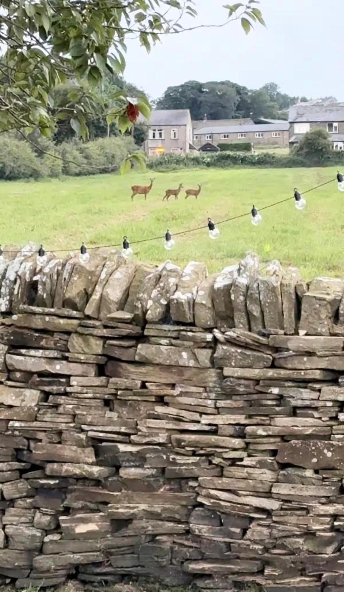 Bents Holiday Cottage Oxenhope 외부 사진
